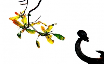 Mỗi ngày một câu nói có ý nghĩa để làm cuộc đời thêm tươi sáng